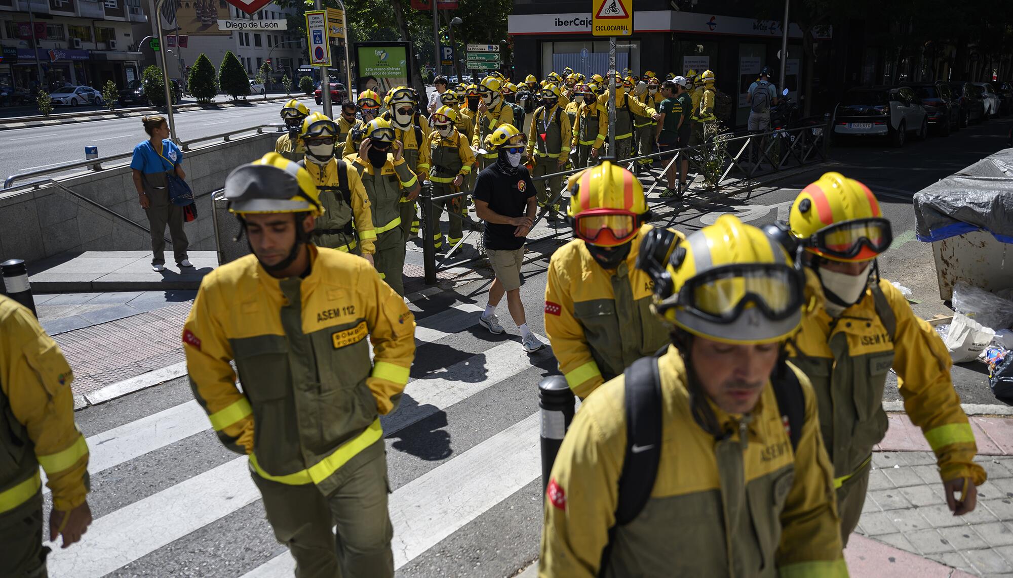 Forestales Tragsa - 3